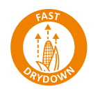 fast_drydown