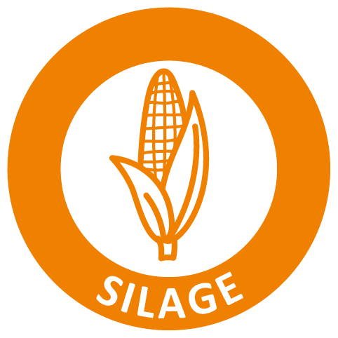 silage